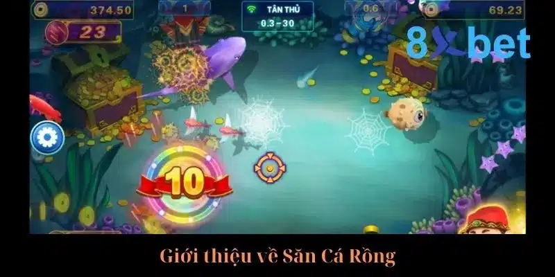 Cẩm Nang Săn Cá Rồng Rinh Về Thưởng Lớn Từ Cao Thủ 2 Vài nét sơ lược về Săn Cá Rồng