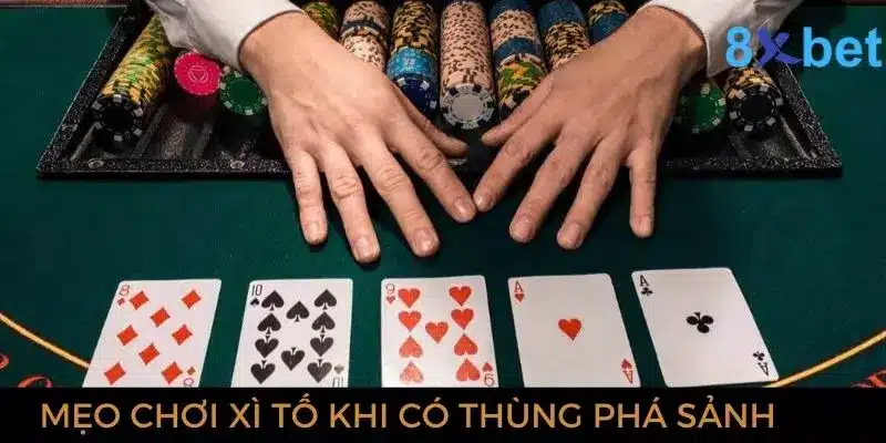 Thùng Phá Sảnh - Giải Mã Thuật Ngữ Trong Bài Mậu Binh 5 Mẹo đánh xì tố khi sở hữu bộ phá sảnh