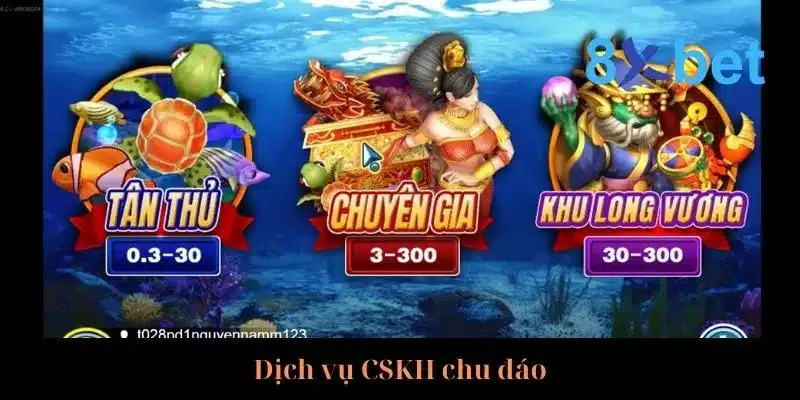 Cẩm Nang Săn Cá Rồng Rinh Về Thưởng Lớn Từ Cao Thủ 4 Hỗ trợ người chơi 24h cực kỳ tận tình